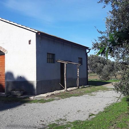 Agriturismo Monte Alzato Capalbio Εξωτερικό φωτογραφία