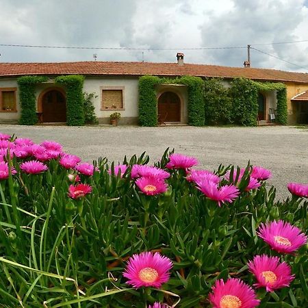 Agriturismo Monte Alzato Capalbio Εξωτερικό φωτογραφία