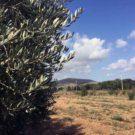 Agriturismo Monte Alzato Capalbio Εξωτερικό φωτογραφία