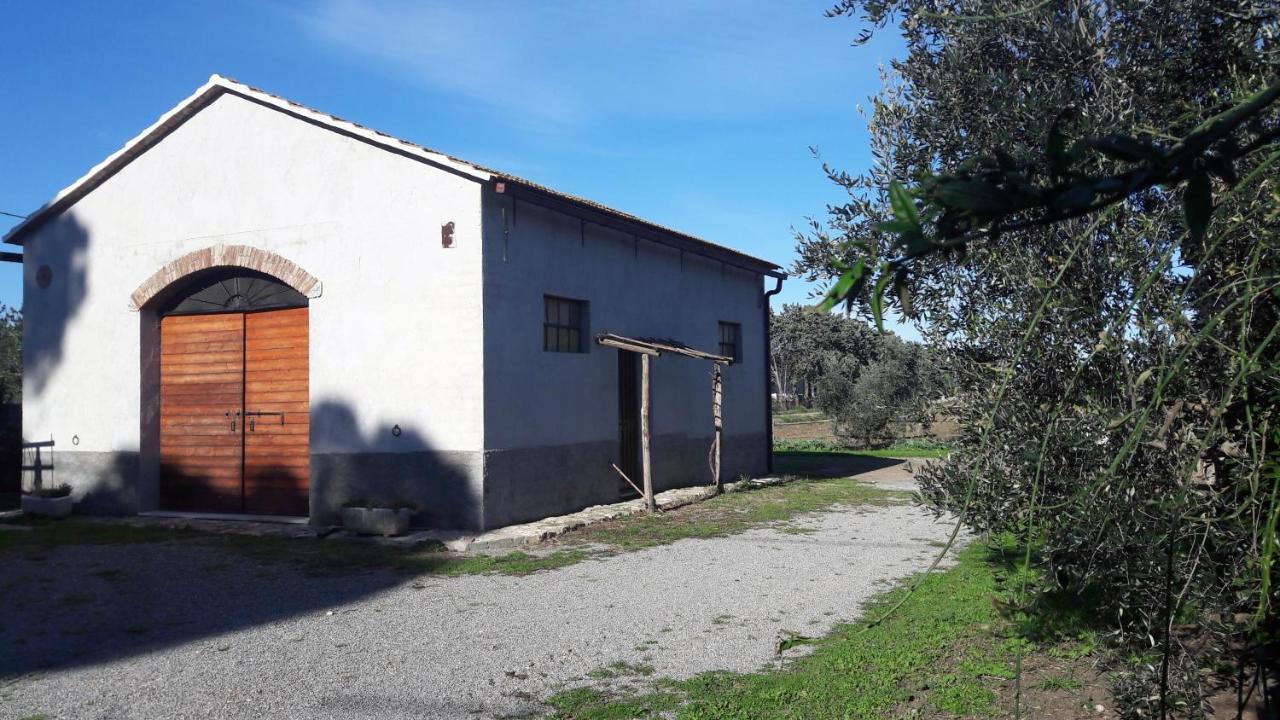 Agriturismo Monte Alzato Capalbio Εξωτερικό φωτογραφία
