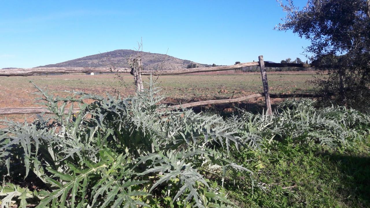 Agriturismo Monte Alzato Capalbio Εξωτερικό φωτογραφία