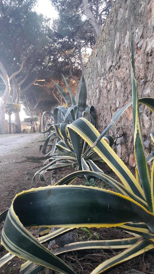 Agriturismo Monte Alzato Capalbio Εξωτερικό φωτογραφία