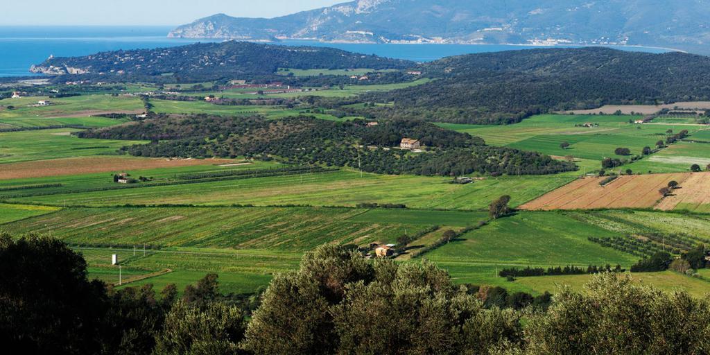 Agriturismo Monte Alzato Capalbio Εξωτερικό φωτογραφία