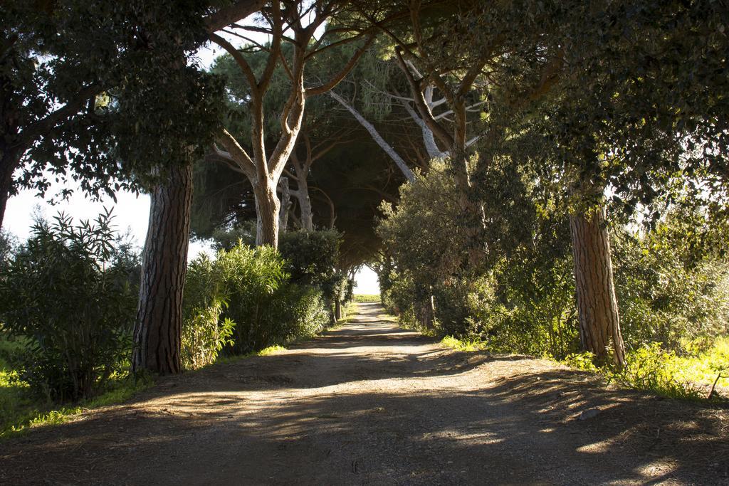 Agriturismo Monte Alzato Capalbio Εξωτερικό φωτογραφία